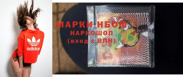 гашик Инсар
