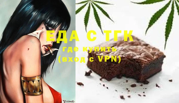 стаф Алзамай