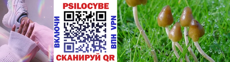 Галлюциногенные грибы Magic Shrooms  Чусовой 